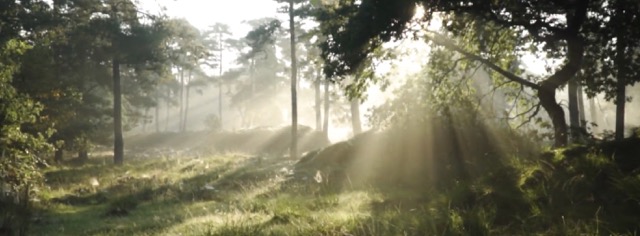 natuur sauna achtergrond belgie luxspas leil